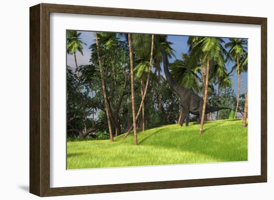 Large Brachiosaurus Grazing on Palm Trees-null-Framed Art Print