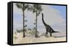 Large Brachiosaurus Grazing on Tall Trees-null-Framed Stretched Canvas