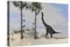 Large Brachiosaurus Grazing on Tall Trees-null-Stretched Canvas