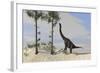 Large Brachiosaurus Grazing on Tall Trees-null-Framed Art Print