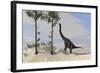 Large Brachiosaurus Grazing on Tall Trees-null-Framed Art Print