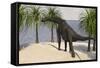 Large Brachiosaurus Grazing on Trees-null-Framed Stretched Canvas