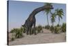 Large Brachiosaurus Grazing-null-Stretched Canvas
