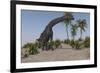 Large Brachiosaurus Grazing-null-Framed Art Print