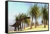 Large Brachiosaurus Grazing-null-Framed Stretched Canvas