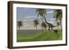 Large Brachiosaurus Grazing-null-Framed Art Print