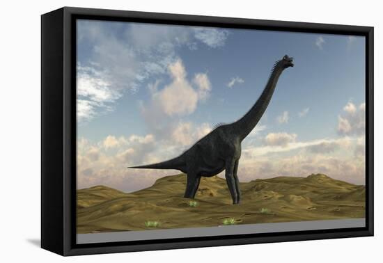 Large Brachiosaurus in a Barren Evnironment-null-Framed Stretched Canvas