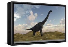 Large Brachiosaurus in a Barren Evnironment-null-Framed Stretched Canvas