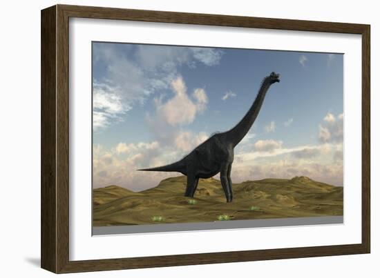 Large Brachiosaurus in a Barren Evnironment-null-Framed Premium Giclee Print