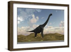 Large Brachiosaurus in a Barren Evnironment-null-Framed Art Print