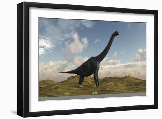 Large Brachiosaurus in a Barren Evnironment-null-Framed Art Print