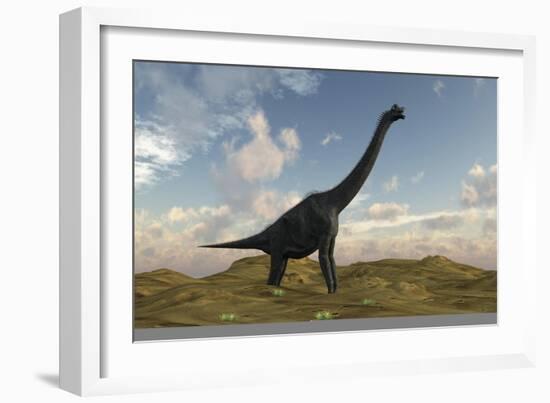 Large Brachiosaurus in a Barren Evnironment-null-Framed Art Print