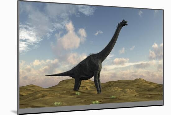 Large Brachiosaurus in a Barren Evnironment-null-Mounted Art Print