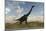 Large Brachiosaurus in a Barren Evnironment-null-Mounted Art Print