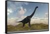 Large Brachiosaurus in a Barren Evnironment-null-Framed Stretched Canvas