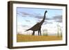 Large Brachiosaurus in a Grassy Field-null-Framed Art Print