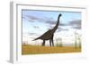 Large Brachiosaurus in a Grassy Field-null-Framed Art Print