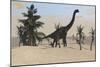 Large Brachiosaurus in a Tropical Environment-null-Mounted Art Print