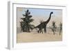 Large Brachiosaurus in a Tropical Environment-null-Framed Premium Giclee Print
