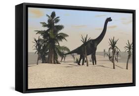 Large Brachiosaurus in a Tropical Environment-null-Framed Stretched Canvas