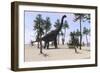 Large Brachiosaurus in a Tropical Environment-null-Framed Art Print