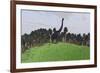 Large Brachiosaurus in an Open Field-null-Framed Art Print