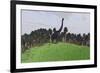 Large Brachiosaurus in an Open Field-null-Framed Art Print