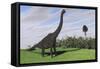 Large Brachiosaurus in an Open Field-null-Framed Stretched Canvas