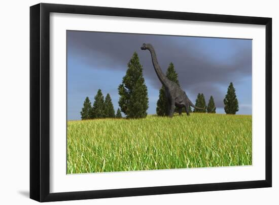 Large Brachiosaurus in an Open Field-null-Framed Art Print