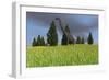 Large Brachiosaurus in an Open Field-null-Framed Art Print