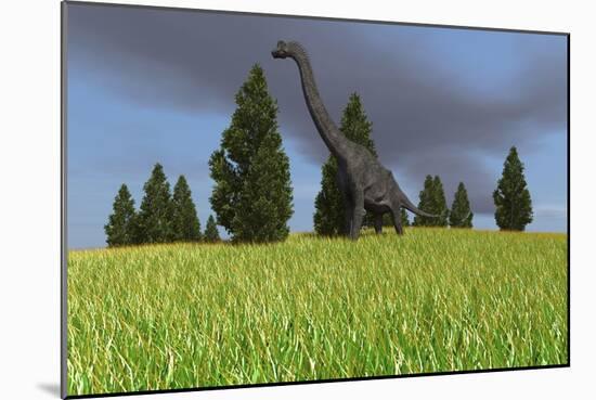 Large Brachiosaurus in an Open Field-null-Mounted Art Print