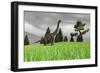 Large Brachiosaurus in an Open Field-null-Framed Art Print