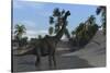 Large Brachiosaurus in Shallow Water-null-Stretched Canvas