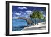 Large Brachiosaurus on the Shoreline-null-Framed Art Print