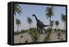 Large Brachiosaurus Roaming a Prehistoric Environment-null-Framed Stretched Canvas