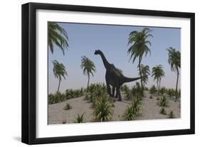 Large Brachiosaurus Roaming a Prehistoric Environment-null-Framed Art Print