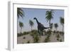 Large Brachiosaurus Roaming a Prehistoric Environment-null-Framed Art Print