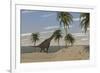 Large Brachiosaurus Roaming an Tropical Climate Landscape-null-Framed Art Print