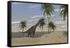 Large Brachiosaurus Roaming an Tropical Climate Landscape-null-Framed Stretched Canvas