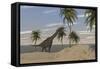 Large Brachiosaurus Roaming an Tropical Climate Landscape-null-Framed Stretched Canvas