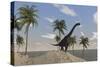 Large Brachiosaurus Roaming an Tropical Climate Landscape-null-Stretched Canvas