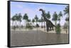 Large Brachiosaurus Standing at the Water's Edge-null-Framed Stretched Canvas