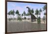 Large Brachiosaurus Standing at the Water's Edge-null-Framed Art Print