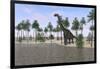 Large Brachiosaurus Standing at the Water's Edge-null-Framed Art Print