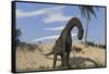 Large Brachiosaurus Standing in Water-null-Framed Stretched Canvas