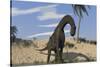 Large Brachiosaurus Standing in Water-null-Stretched Canvas