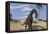 Large Brachiosaurus Standing in Water-null-Framed Stretched Canvas