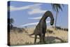 Large Brachiosaurus Standing in Water-null-Stretched Canvas