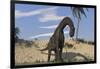 Large Brachiosaurus Standing in Water-null-Framed Art Print