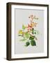 Large Bright Orange Flowers and Large Green Leaves-null-Framed Giclee Print